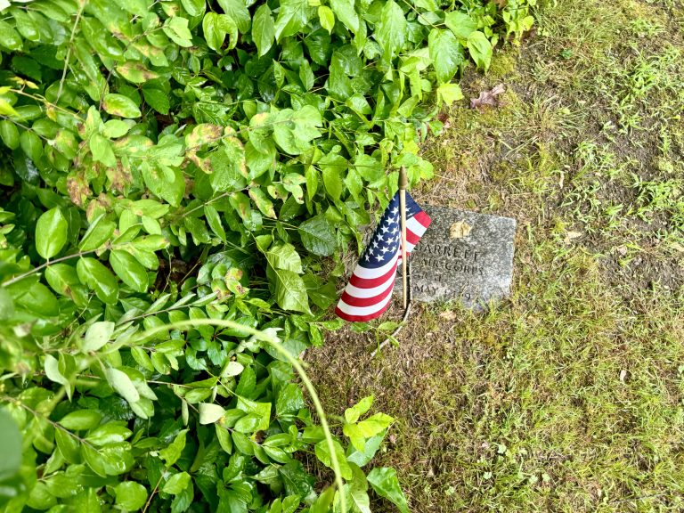 Swandale Cemetery Cleanup